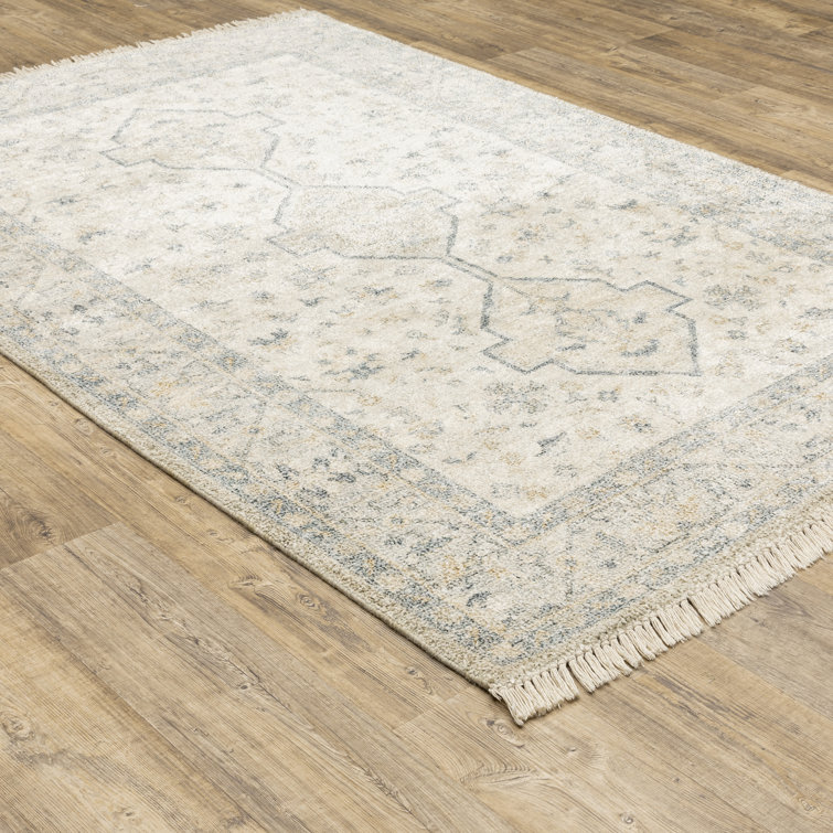 Hadden Oriental Indoor Rug