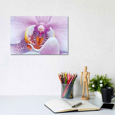 Orchid 1 Piece Wrapped Canvas Wall Art
