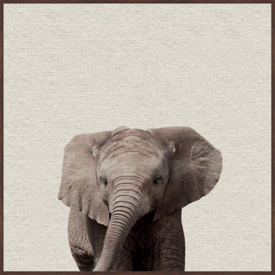 Elephant Surprise - Drawing on Canvas