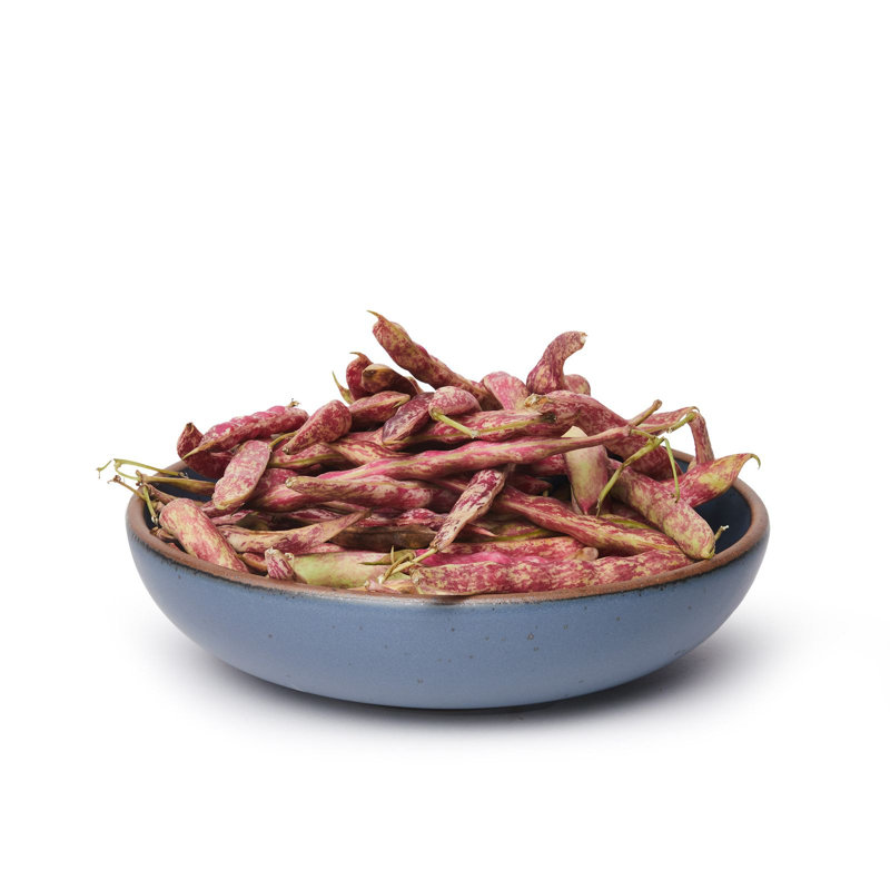 Weeknight Serving Bowl, Blue