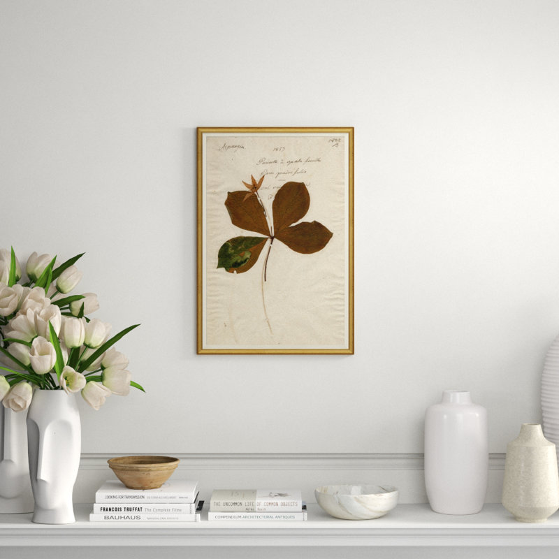 Herbarium 2 Framed Acrylic Painting Print
