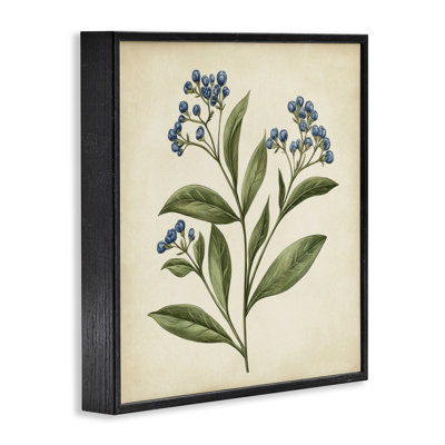 Illustration botanique de bourgeons, estampe numérique, design par Petal Prints Design