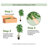 48" H Foliage Plant in Ceramic Planter