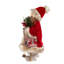 Père Noël