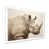 White Single Picture Framed