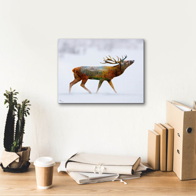 " Deer 2 " by Mark Ashkenazi