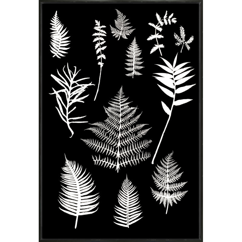 Botanical Collage 1 Print, Black Framed, 41" H x 27" W