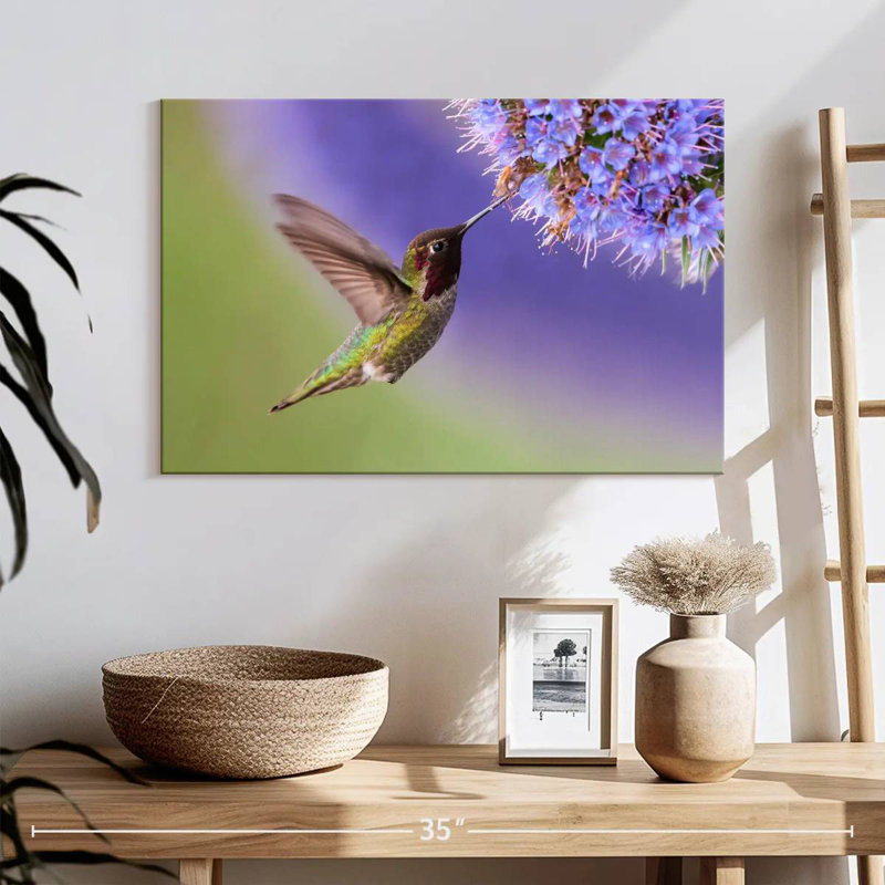 Brampt Nectar Sipping Hummingbird, 16" H x 24" W