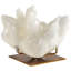 Evergreen Decorative Object