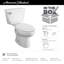 Toilette allongée deux pièces à hauteur confort American Standard, chasse d'eau, blanc