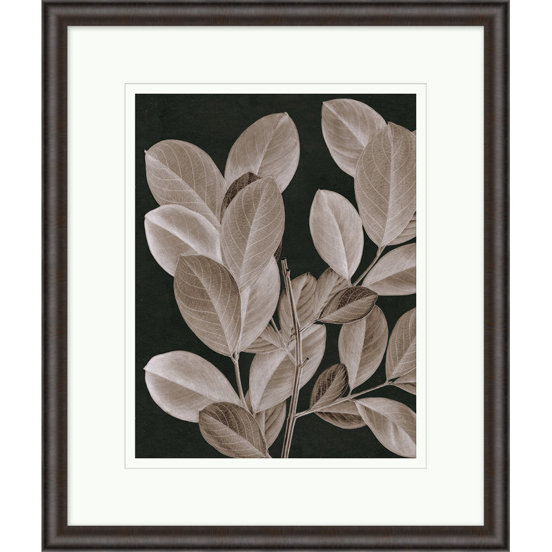 Taupe Foliage 1 Print