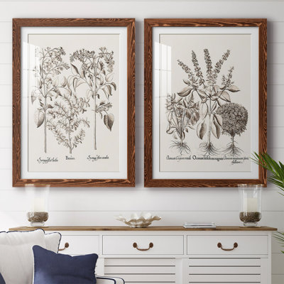 Sépia Besler Botanicals I-Premium, reproduction encadrée - prête à être accrochée