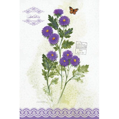 Flower Study On Lace II by Elissa Della-Piana - Wrapped Canvas Painting