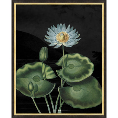 "Poetic Botanicals 2" par Lillian August - Cadre photo unique, impression