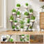 41 po Support pour plante d'intérieur avec lumières de croissance, paquet de 2 supports pour plante d'intérieur, plante à fleurs à 6 niveaux