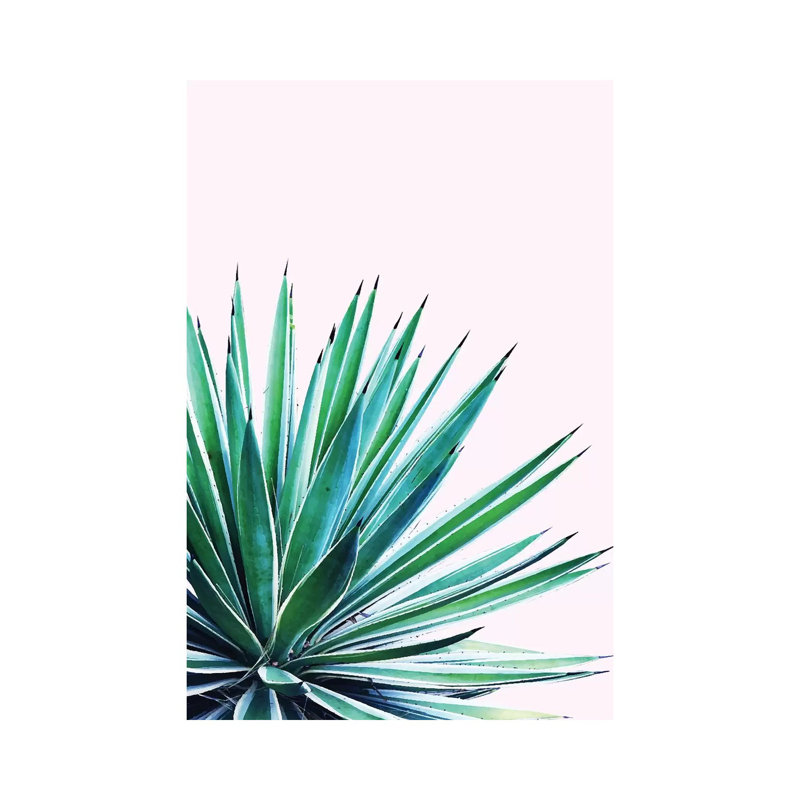 Agave Love - Print on Canvas, Wrapped Canvas, 20.32 cm H x 30.48 cm W