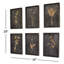 Rodriguez - 6 Piece Picture Frame Print Set on Wood