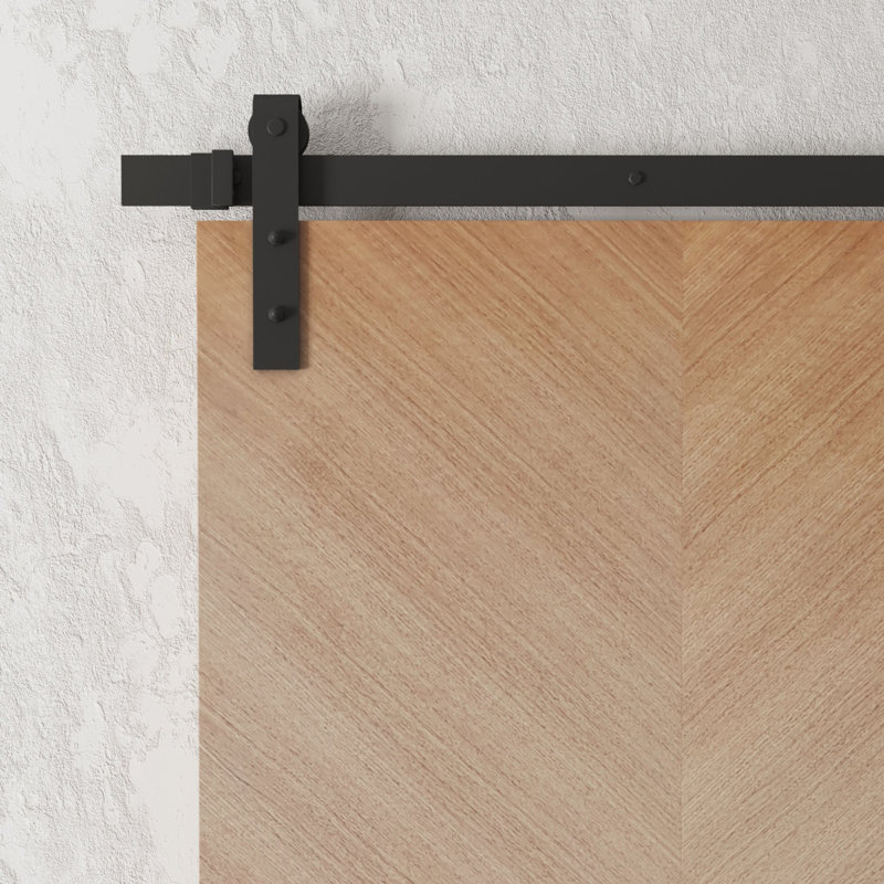 Flush Wood Wood Finish Barn Door