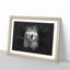 Wolf Portrait - Picture Frame Graphic Art Print-56876437-56876436