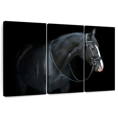Brampt Thoroughbred Trakehner Horse