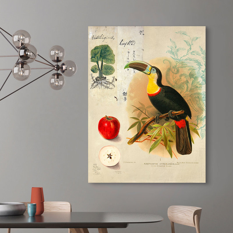 Cabinet Of Curiosities N. 4 by Joannoo - Wrapped Canvas Print, 80cm H x 60cm W x 4cm D
