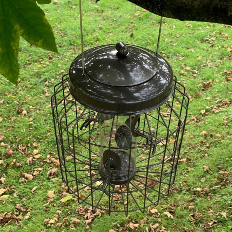 Grimaud Metal Hanging Tube Bird Feeder