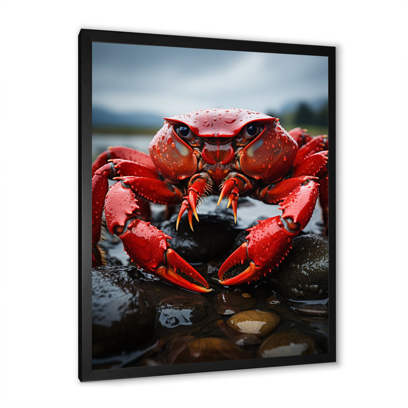 Yoonus " Vibrant Crayfish Portrait ", Black Picture Framed, 20" H x 12" W