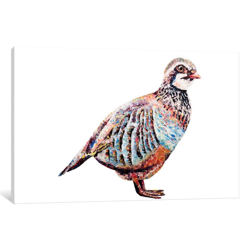 « partridge », impression sur toile, H 26 po x l 40 po x P 1,5 po, Toile tendue, Pas de tapis