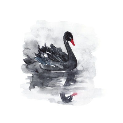 Fode " Black Swan "