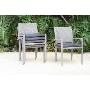 Fulton Wicker Gray Patio Dining Chair (Set Of 4) (Set of 4)