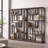 Elex Geometric Bookcase-694037547