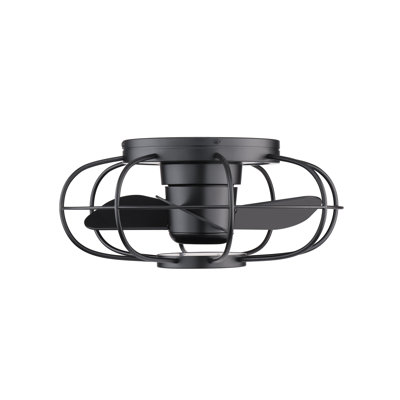 22'' Ceiling Fan with LED Lights