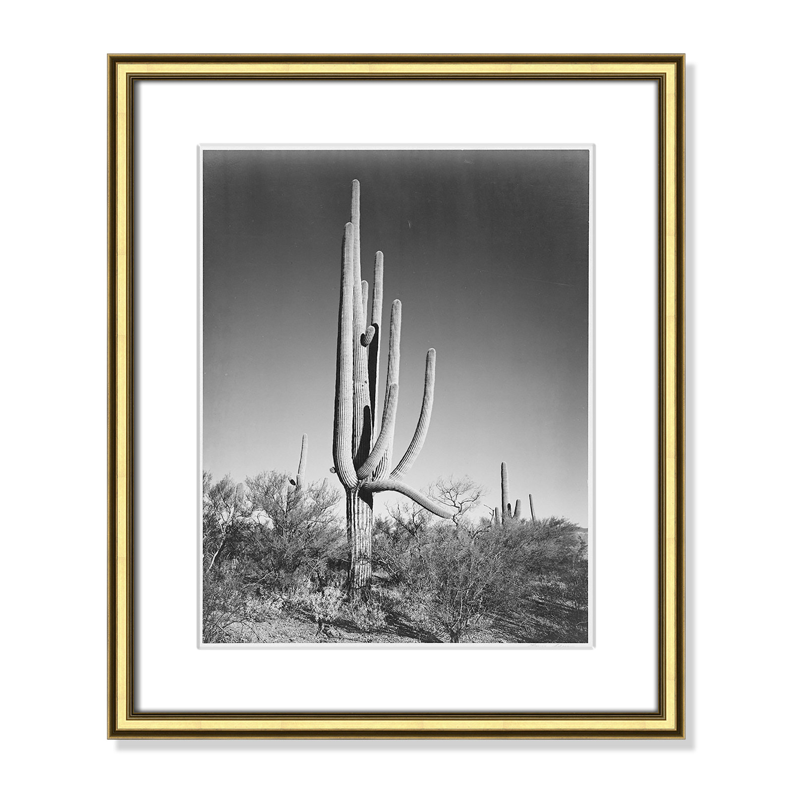 Saguaro National Monument Print by Ansel Adams, 20.25" H x 17.25" W x 0.88" D, Gold