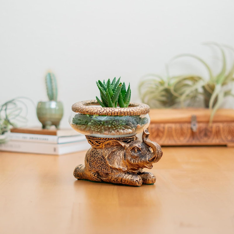 New Good Luck Decorative Gold Antiqued Elephant Glass Bowl,Terrarium Or Candle Holder With Colour Gift Box