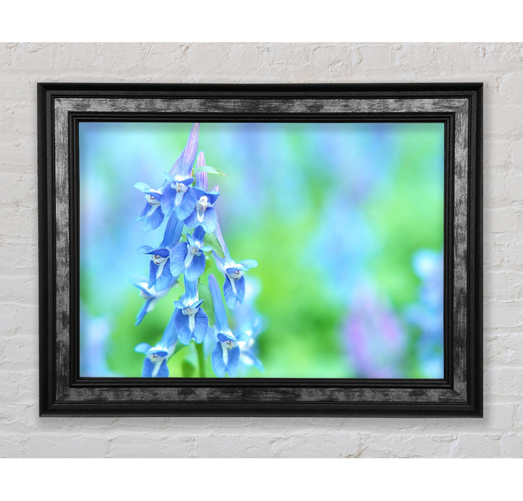 Soft Focus Kleine blaue Blumen - Druck