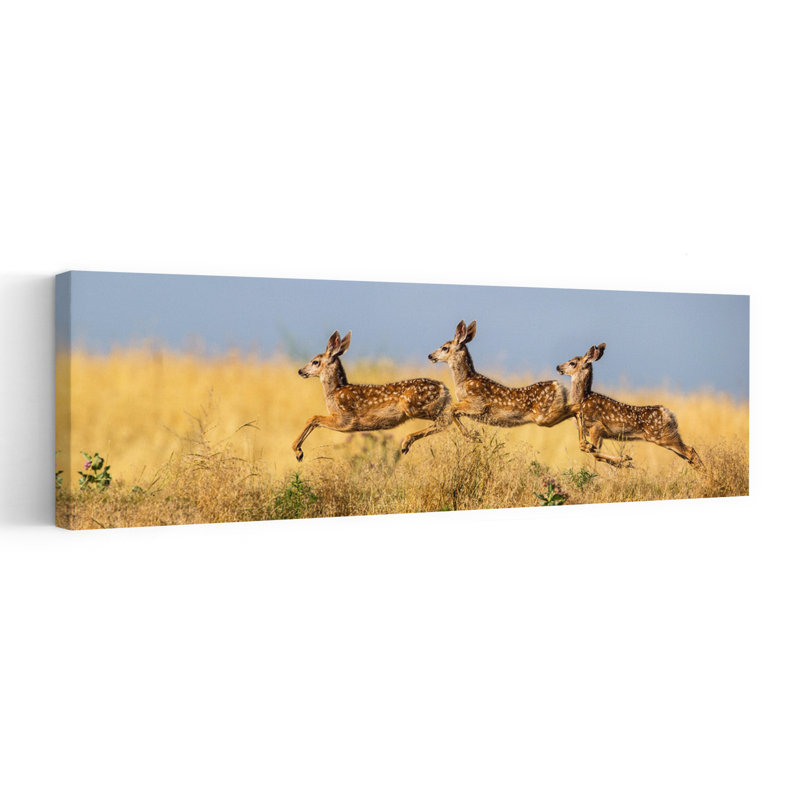 «Three Fawns Leaping Contemporary, cerf, faune sauvage», art mural, H 36 po x l 12 po