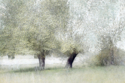 Wrapped Canvas Print, 50.8 cm H x 76.2 cm W