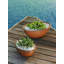 Delano Planter-1196885423-1114089401
