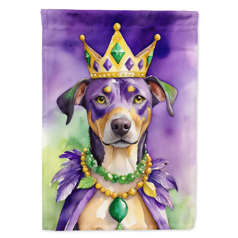 Double Sided 40'' H x 28'' W Polyester Mardi Gras House Flag