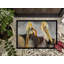 Tapis de porte d’intérieur anti-dérapant pelicans preening-14951230