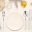 Moderno Disposable Plastic Dinner Knife For 240 Guests