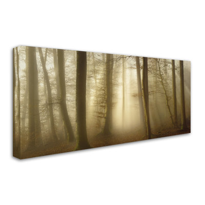 Art mural sur toile tendue - «Into The Trees» de Norbert Maier pour décoration de salon, de chambre à coucher ou de bureau - 12 x 24