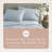 Whisper Organics, 100% Organic Cotton Sheets - 300 Thread Count Bed Sheets Set - Premium Quality Sheets - Deep Pocket Sheet Set - GOTS Certified, Powder (Twin XL Size)-117278029-117278036