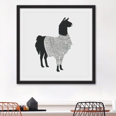 " Black Llama "