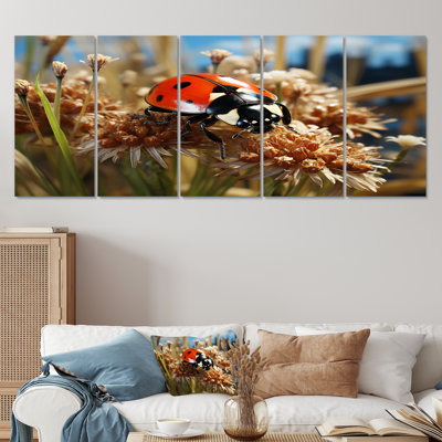 Adventurous Red Ladybug I - Ladybug 5 Piece Wall Art Set