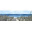 Impression encadrée « people’s quote »-50107259