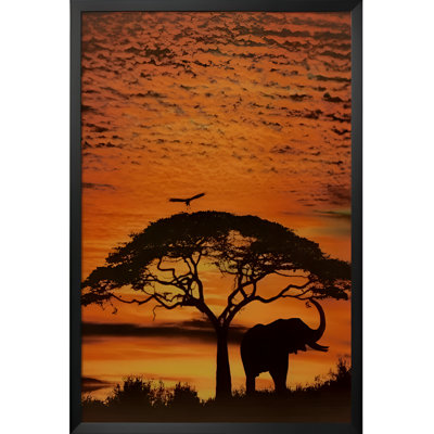 " African Skies "