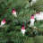 50-Count Mini Christmas Light Set 10ft Wire-1053283105