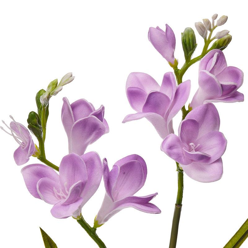 Vaporisateur 23 "Real Touch Freesia 23", Mauve