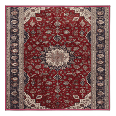 Machine Washable Persian Brown Area Rug